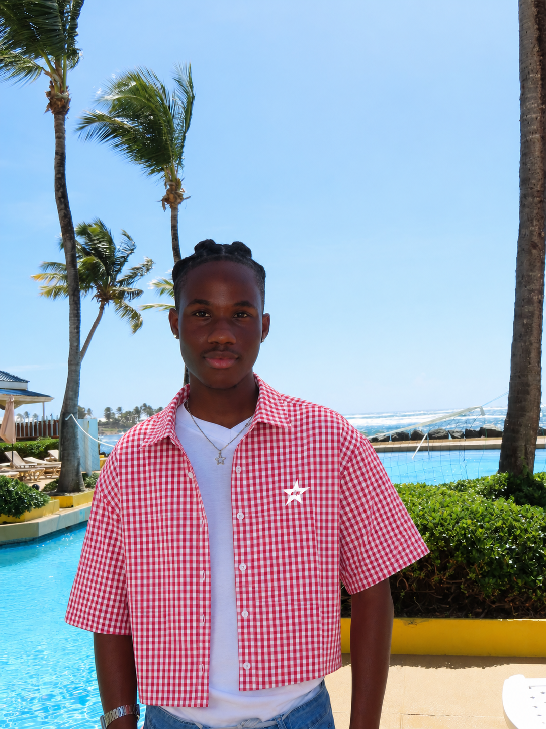 Red Retro Picnic Boxy Shirt